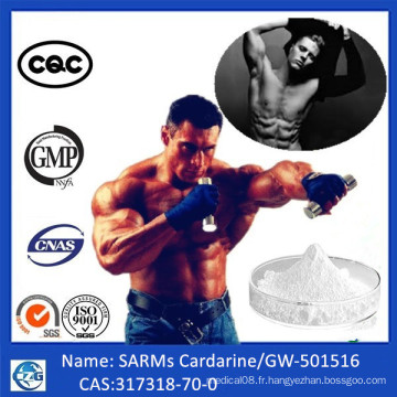 Andarine S4 Legal Sarm Powder Ostarine S4 Andarine pour le gain musculaire